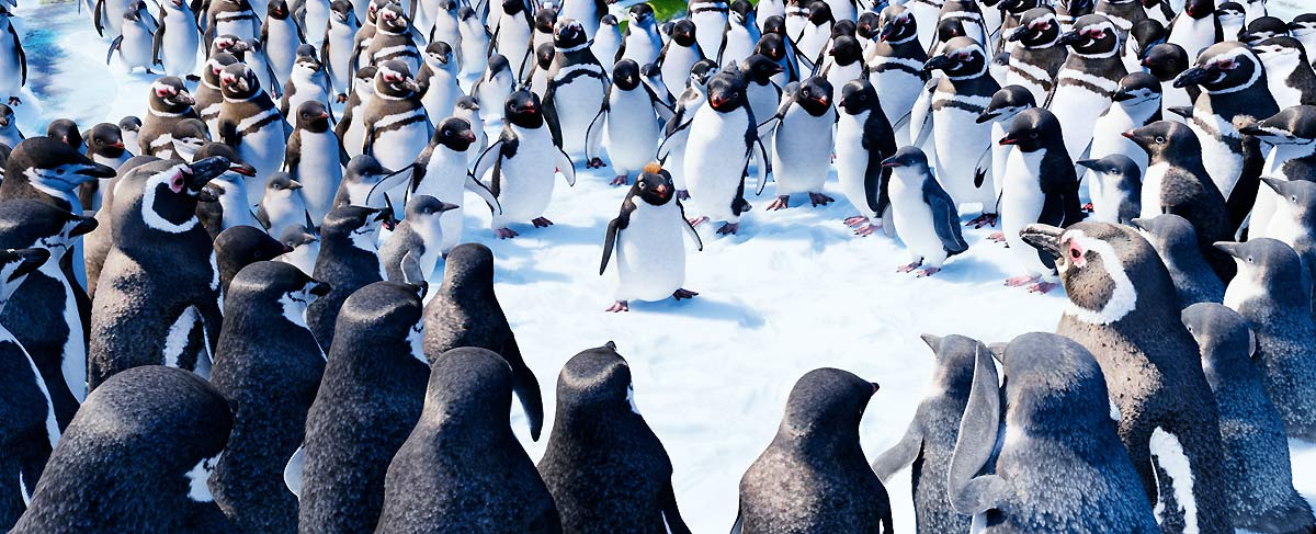 Happy Feet 2 : Bild