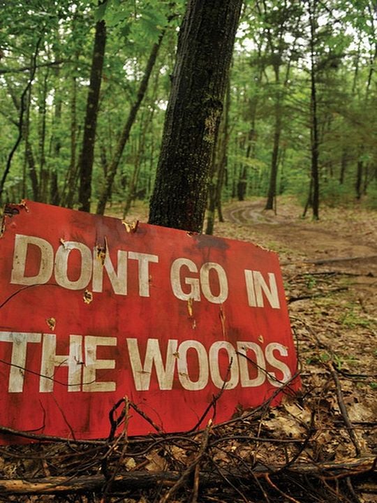 Don't Go in the Woods : Kinoposter