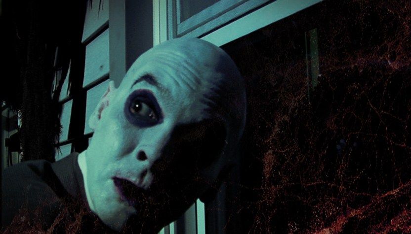 The 6th Extinction : Bild