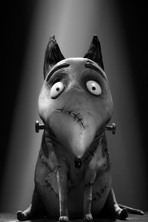 Frankenweenie : Bild