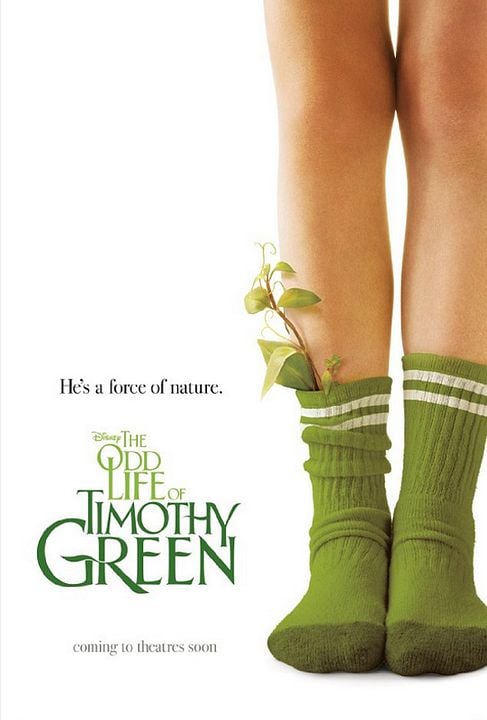 Das wundersame Leben von Timothy Green : Kinoposter