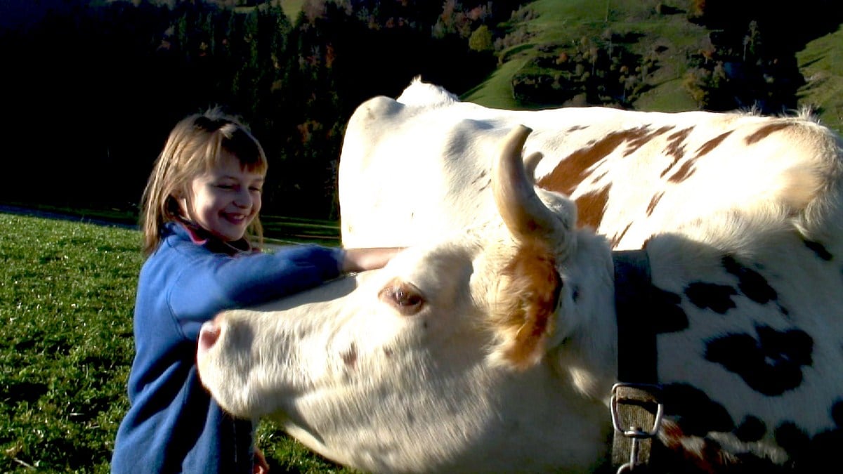 Die Kinder vom Napf : Bild