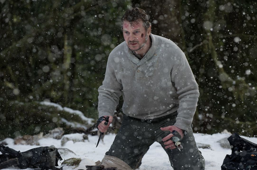 The Grey - Unter Wölfen : Bild Liam Neeson, Joe Carnahan