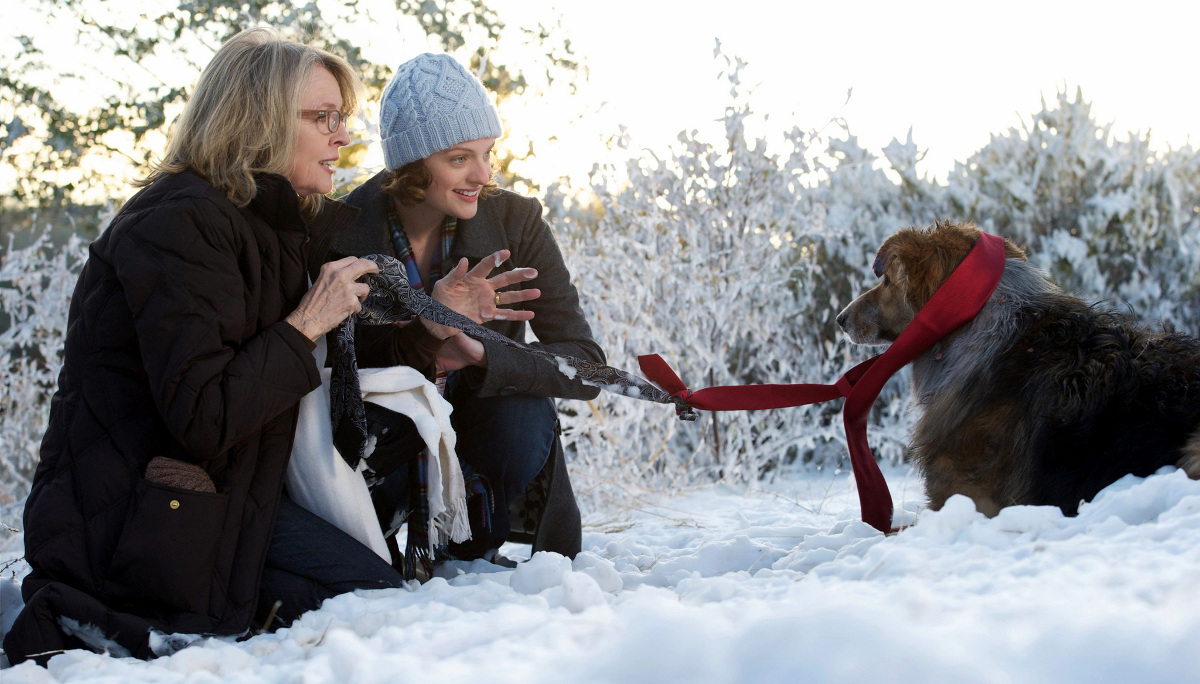 Darling Companion - Ein Hund fürs Leben : Bild Elisabeth Moss, Diane Keaton