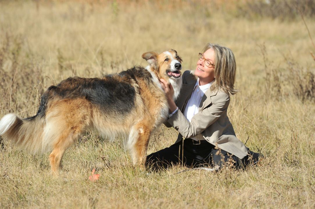 Darling Companion - Ein Hund fürs Leben : Bild Diane Keaton