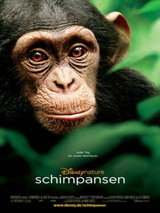 Schimpansen : Kinoposter