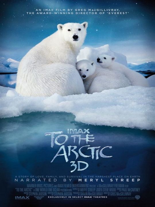 To the Arctic : Kinoposter