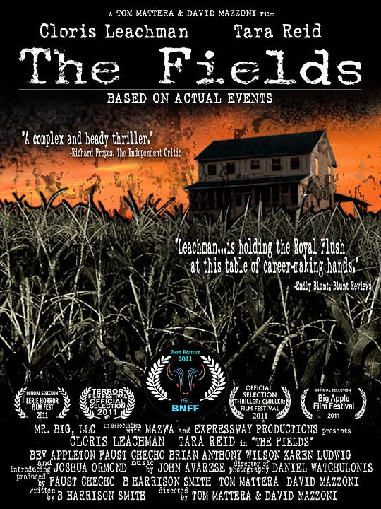 The Fields - Basierend auf wahren Ereignissen! : Kinoposter