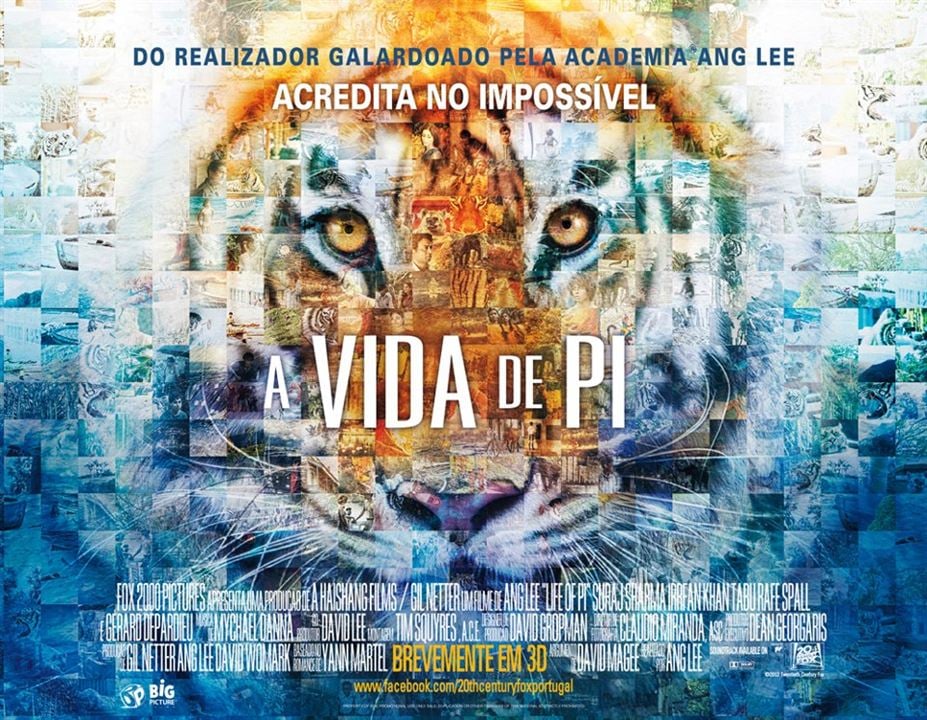 Life of Pi: Schiffbruch mit Tiger : Bild