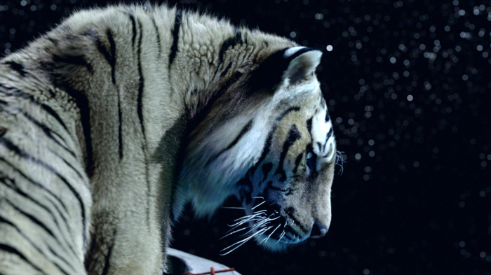 Life of Pi: Schiffbruch mit Tiger : Bild