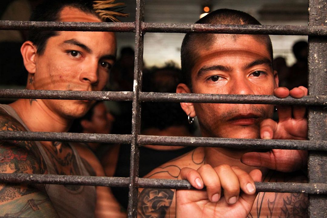 Get The Gringo : Bild