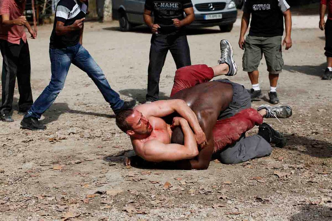 Der Geschmack von Rost und Knochen : Bild