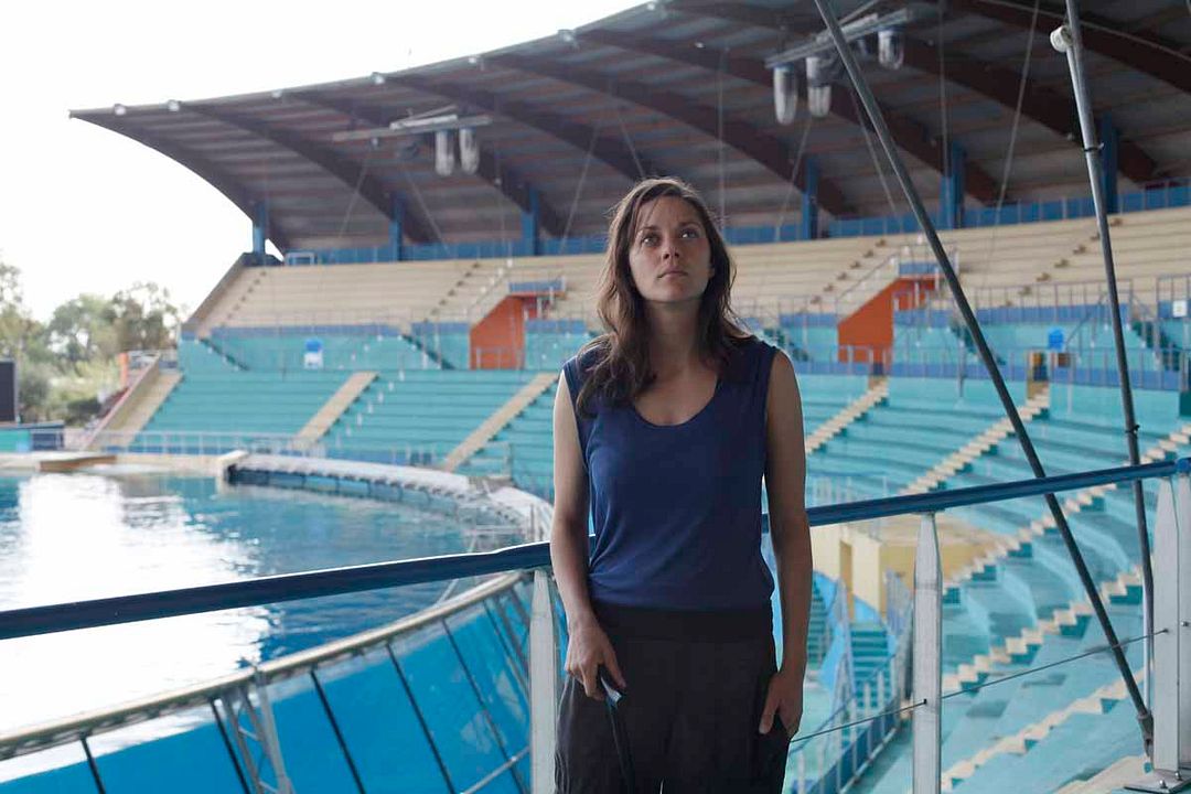 Der Geschmack von Rost und Knochen : Bild