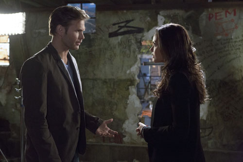 Cult : Bild Jessica Lucas, Matthew Davis