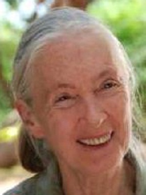 Kinoposter Jane Goodall