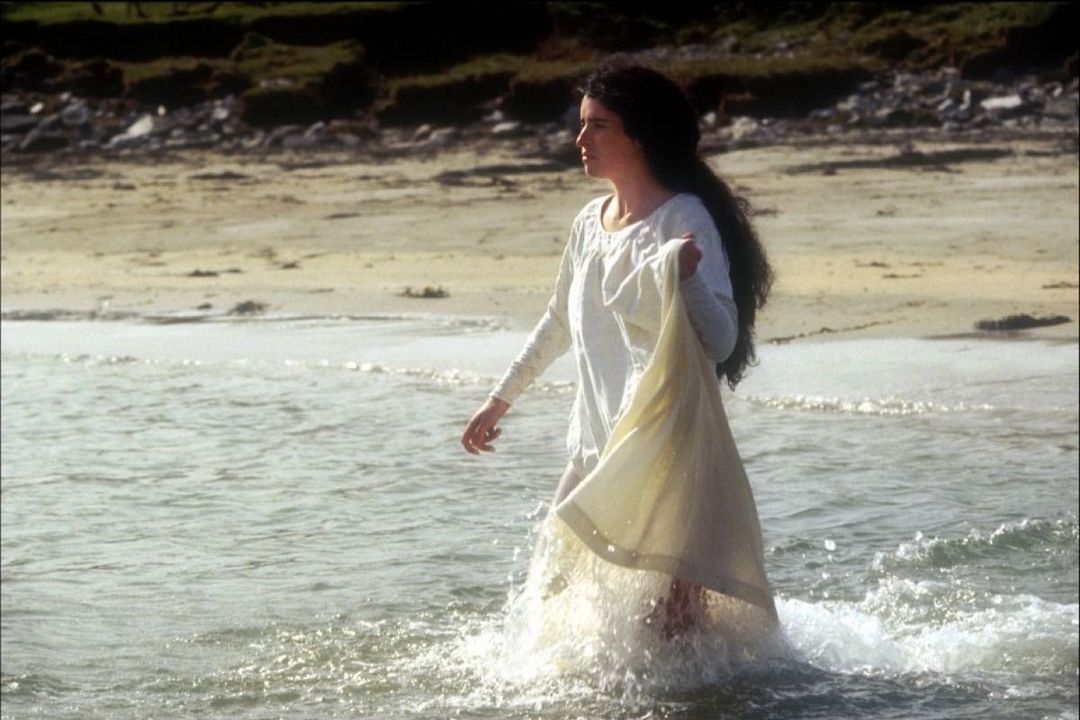 Das Geheimnis des Seehundbabys : Bild