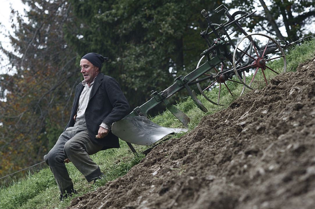 Der Verdingbub : Bild