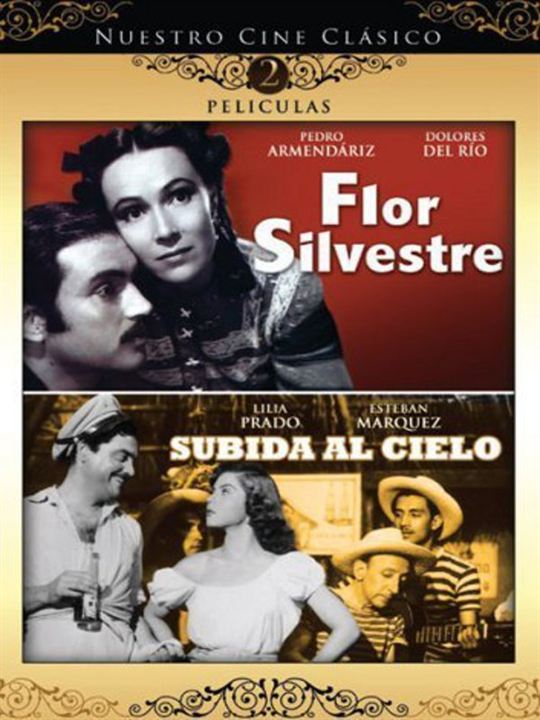 Flor silvestre : Kinoposter