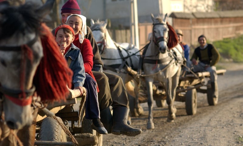 Foto Zum Film Off The Beaten Track Bild 6 Auf 15 Filmstartsde