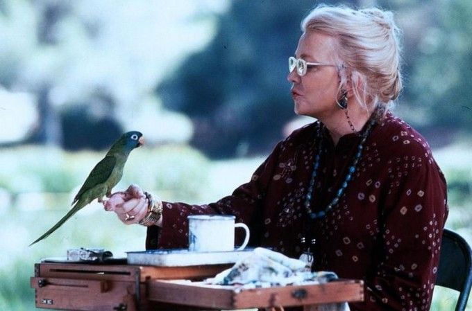 Paulie, ein Plappermaul macht seinen Weg : Bild