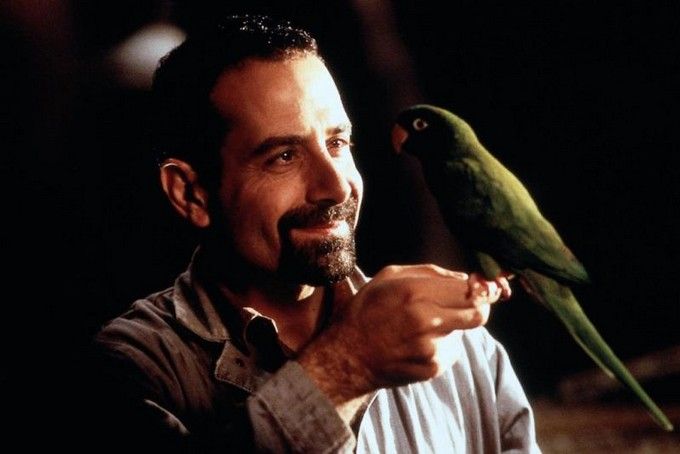 Paulie, ein Plappermaul macht seinen Weg : Bild