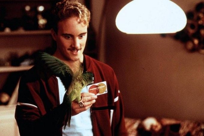 Paulie, ein Plappermaul macht seinen Weg : Bild