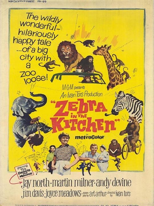 Ein Zebra in der Küche : Kinoposter