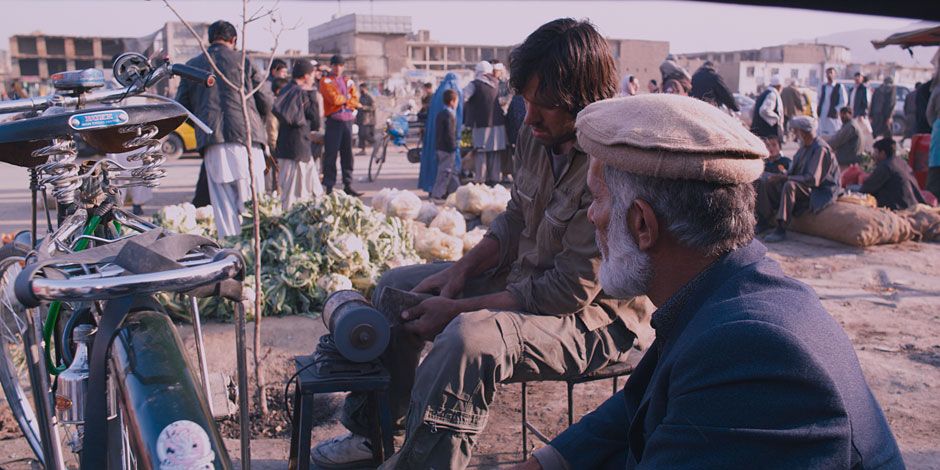 The Black Tulip : Bild