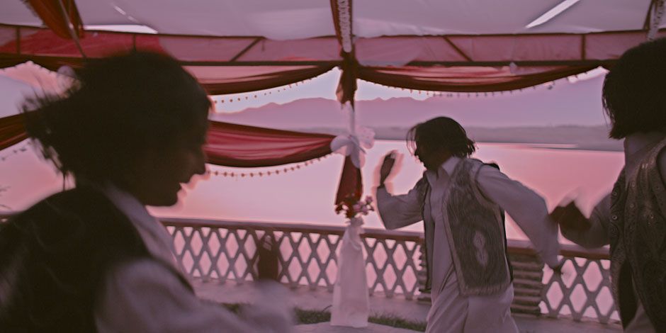 The Black Tulip : Bild