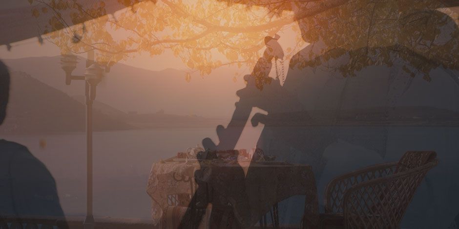 The Black Tulip : Bild