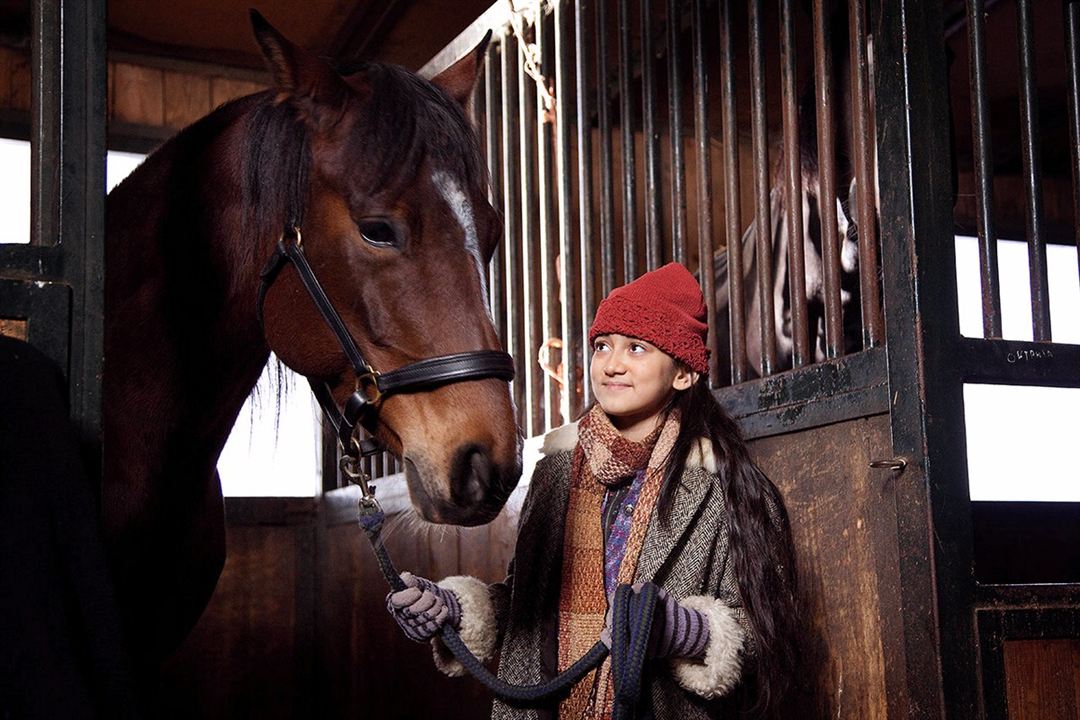 Das Pferd auf dem Balkon : Bild Natasa Paunovic