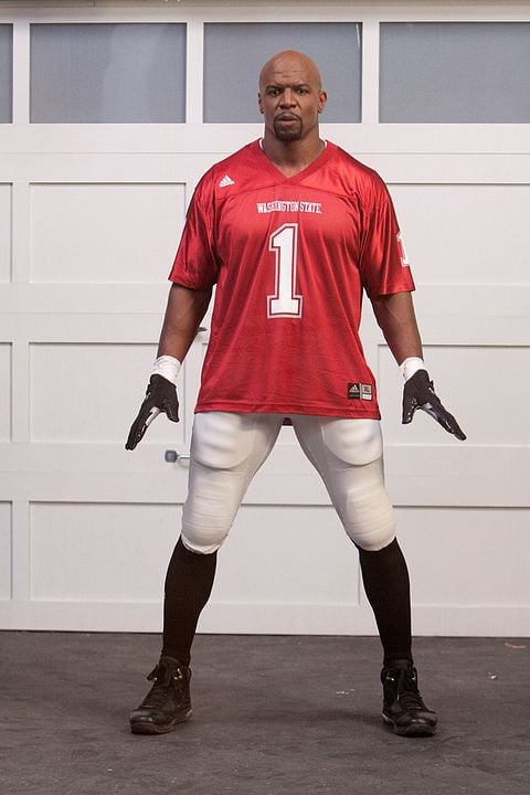 Are We There Yet? : Bild Terry Crews