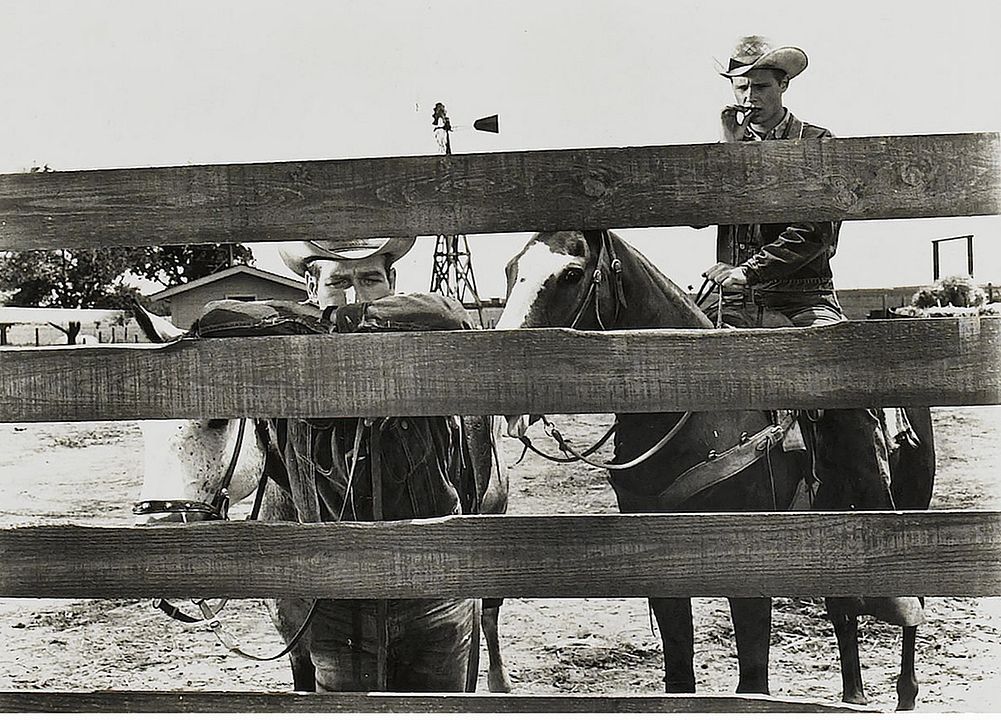 Der Wildeste unter Tausend : Bild Paul Newman, Brandon De Wilde