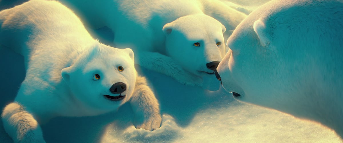 The Polar Bears : Bild John Stevenson