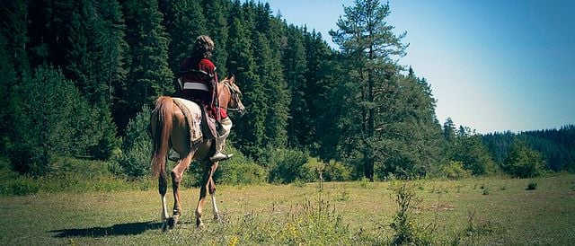 Mahmut und Meryem : Bild