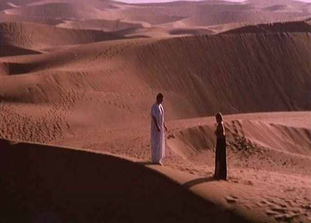 Oase der Zombies : Bild