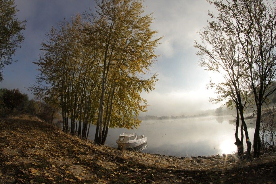 Lake Placid 4 : Bild