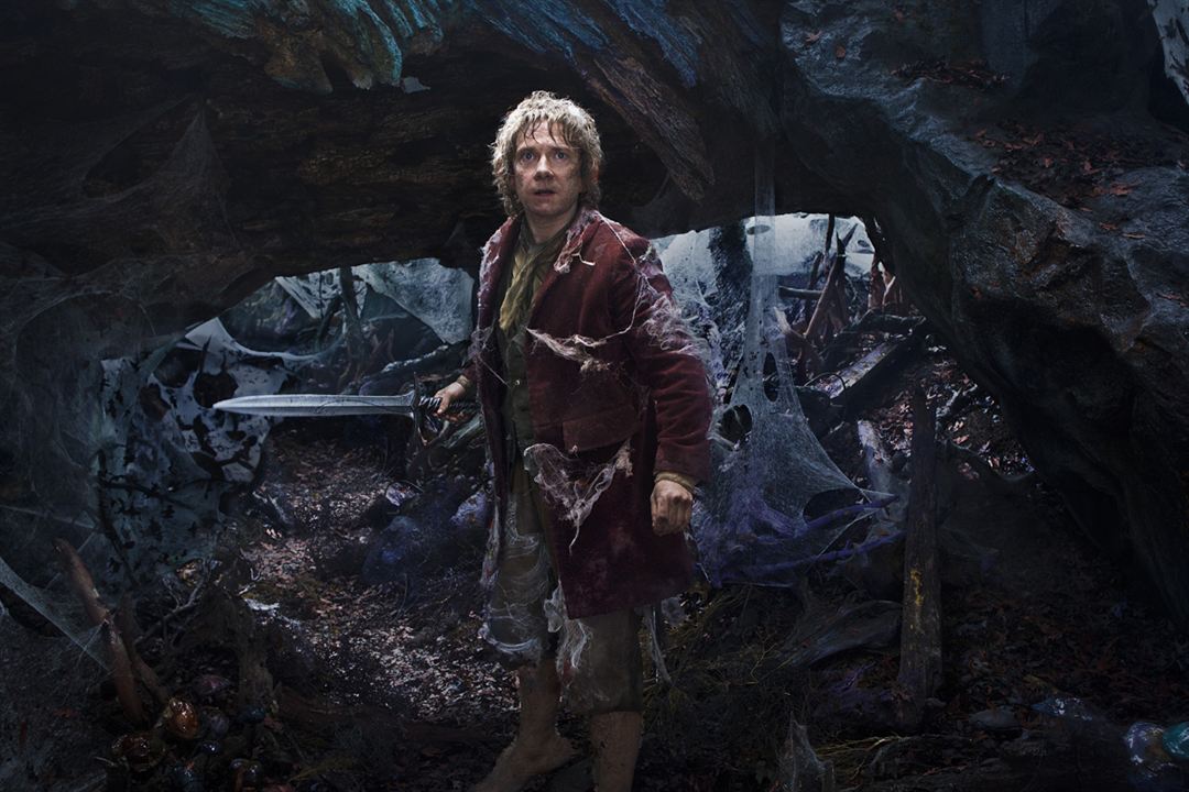 Der Hobbit: Smaugs Einöde : Bild Martin Freeman