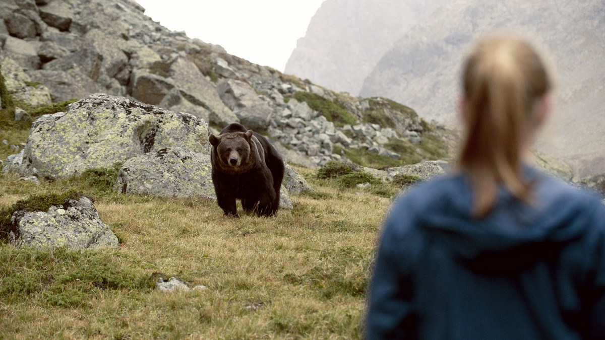 Clara und das Geheimnis der Bären : Bild