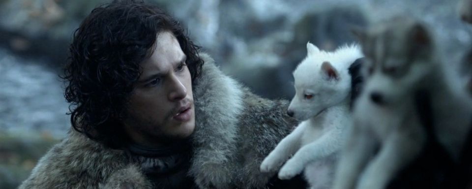 Da Heult Der Schattenwolf Game Of Thrones Hundenamen Liegen 2017 Im Trend Serien News Filmstarts De