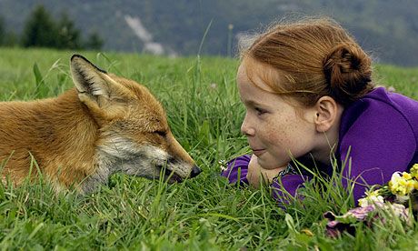 Der Fuchs und das Mädchen : Bild