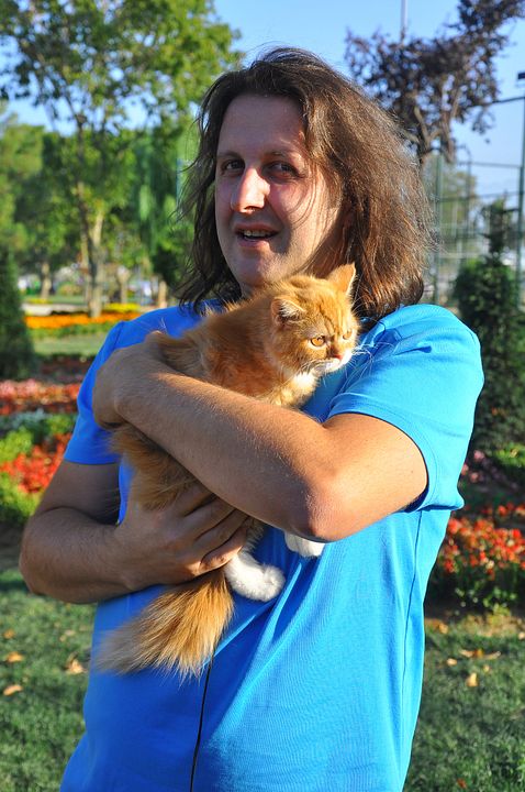 Kedi Özledi : Bild İlker Ayrık