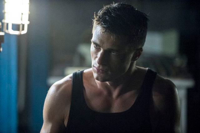 Arrow : Bild Colton Haynes