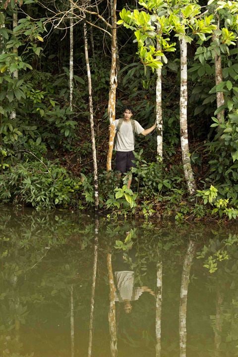 A Floresta De Jonathas - Im dunklen Grün : Bild Begê Muniz