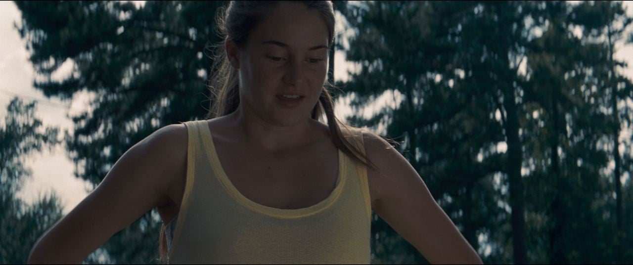 The Spectacular Now - Perfekt ist Jetzt : Bild Shailene Woodley