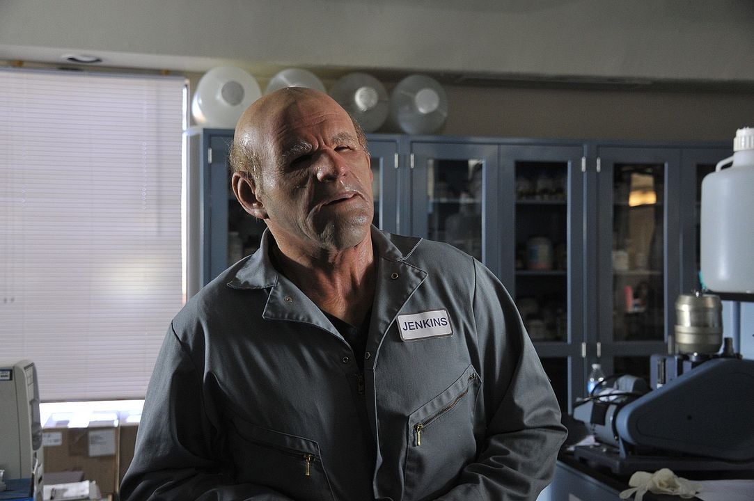 Albert, der unsichtbare Hund : Bild