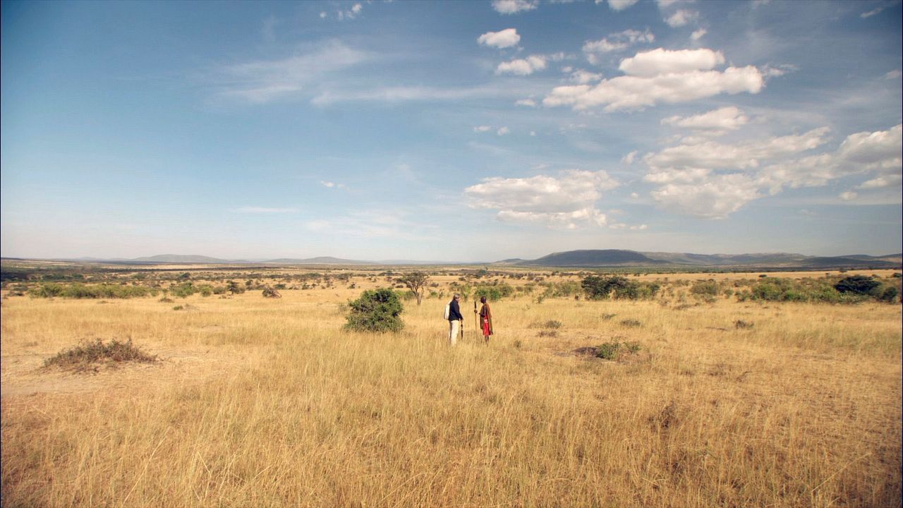 Population Boom : Bild