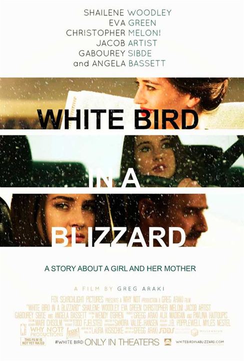 Wie ein weißer Vogel im Schneesturm : Kinoposter
