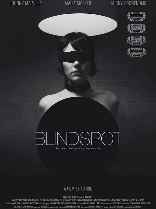 Blindspot - Die Fesseln der Begierde : Kinoposter