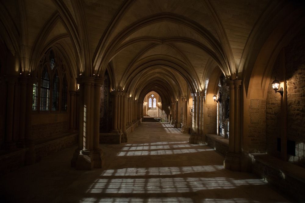 Vampire Academy : Bild